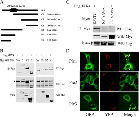 FIGURE 3.