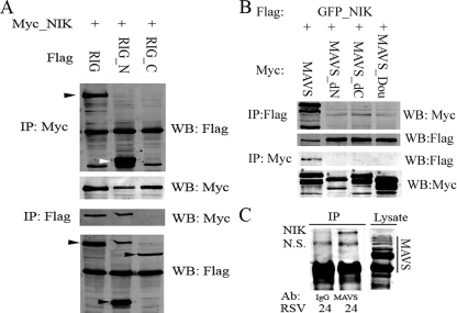 FIGURE 2.