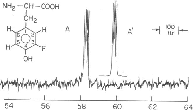 graphic file with name pnas00055-0234-a.jpg