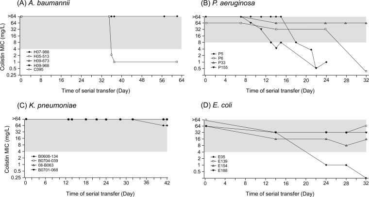 FIG 1