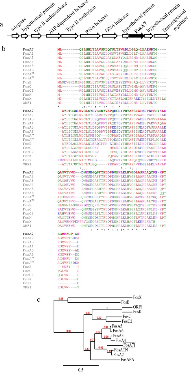 FIG 1