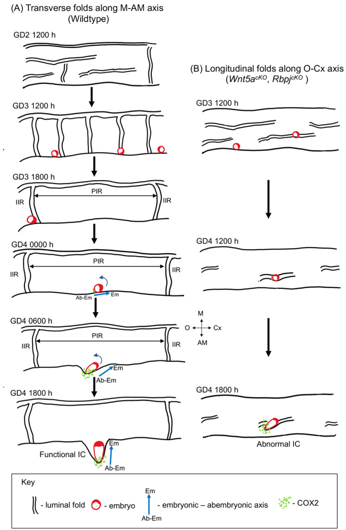 Fig. 8.