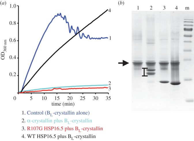 Figure 6.