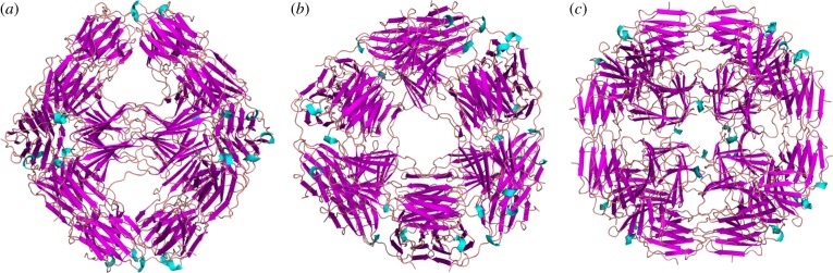 Figure 2.