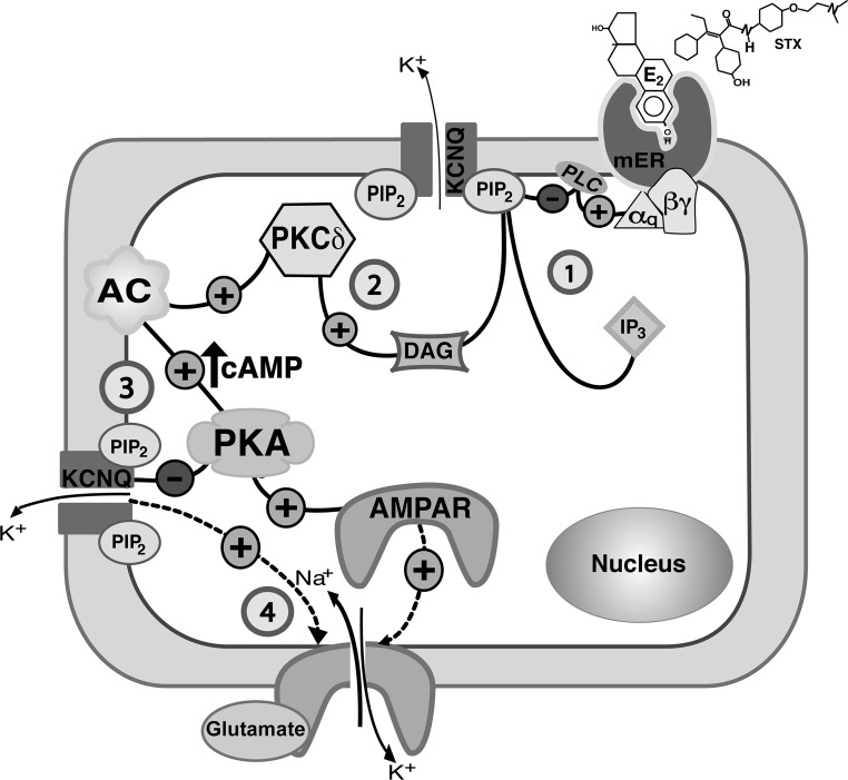 Figure 10.