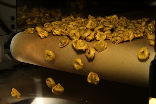 Photograph of tortellini on a food production line