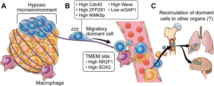 Fig 3: