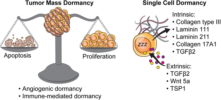 Fig 2: