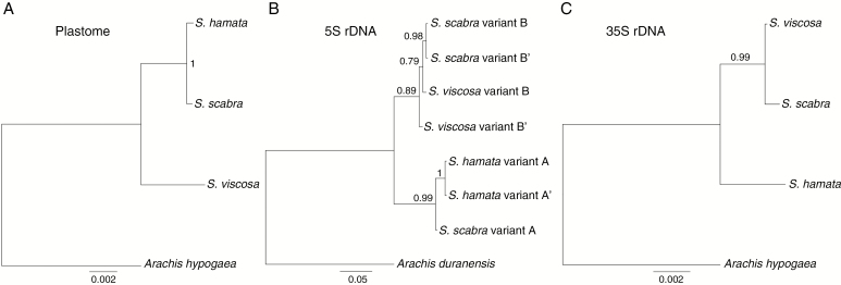 Fig. 3.