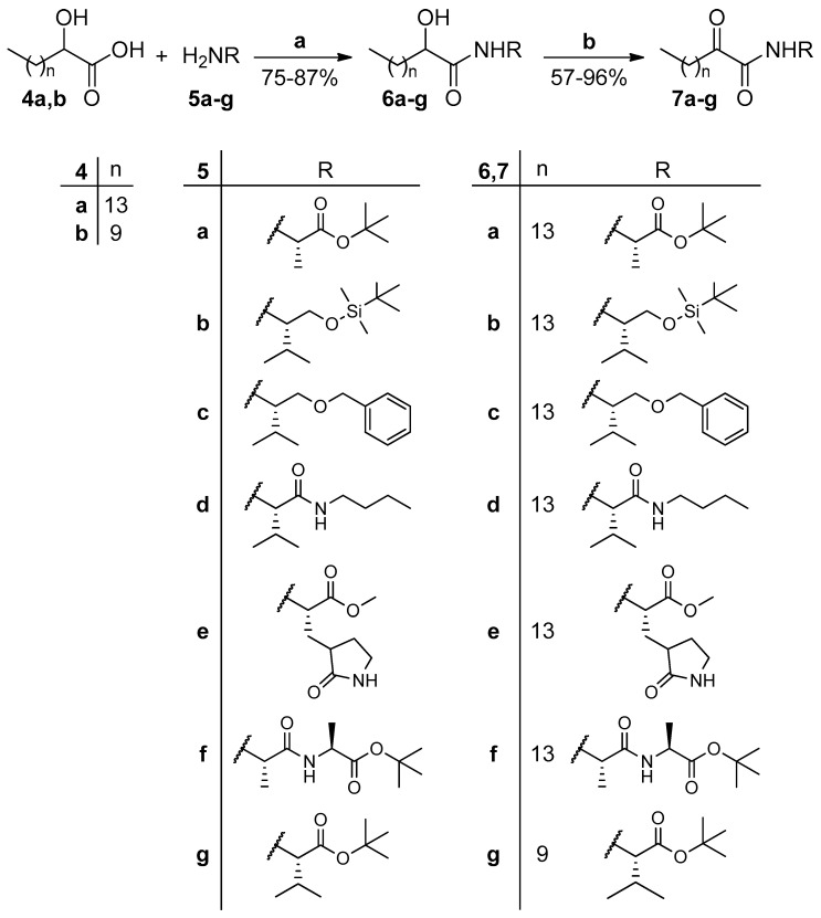 Scheme 1