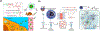 Fig. 32.