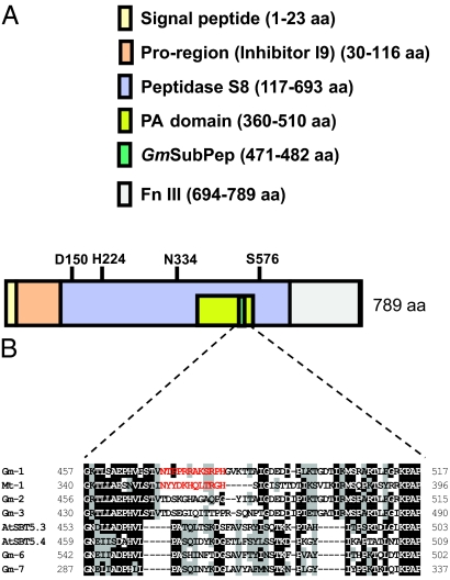 Fig. 3.