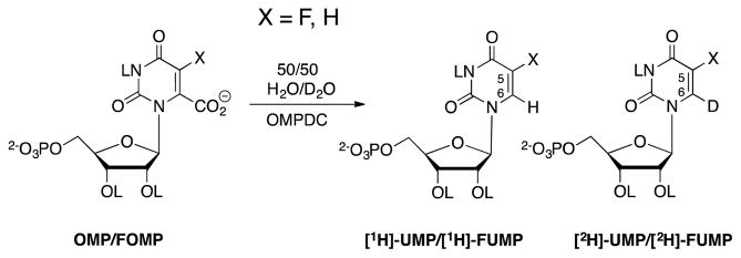 Scheme 5