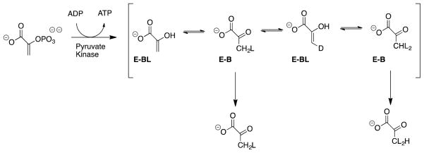 Scheme 3