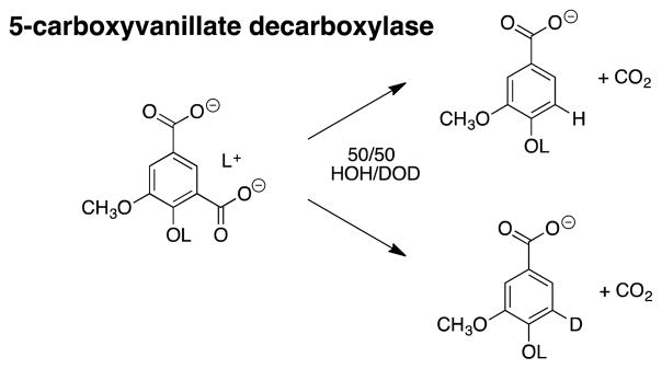 Scheme 6