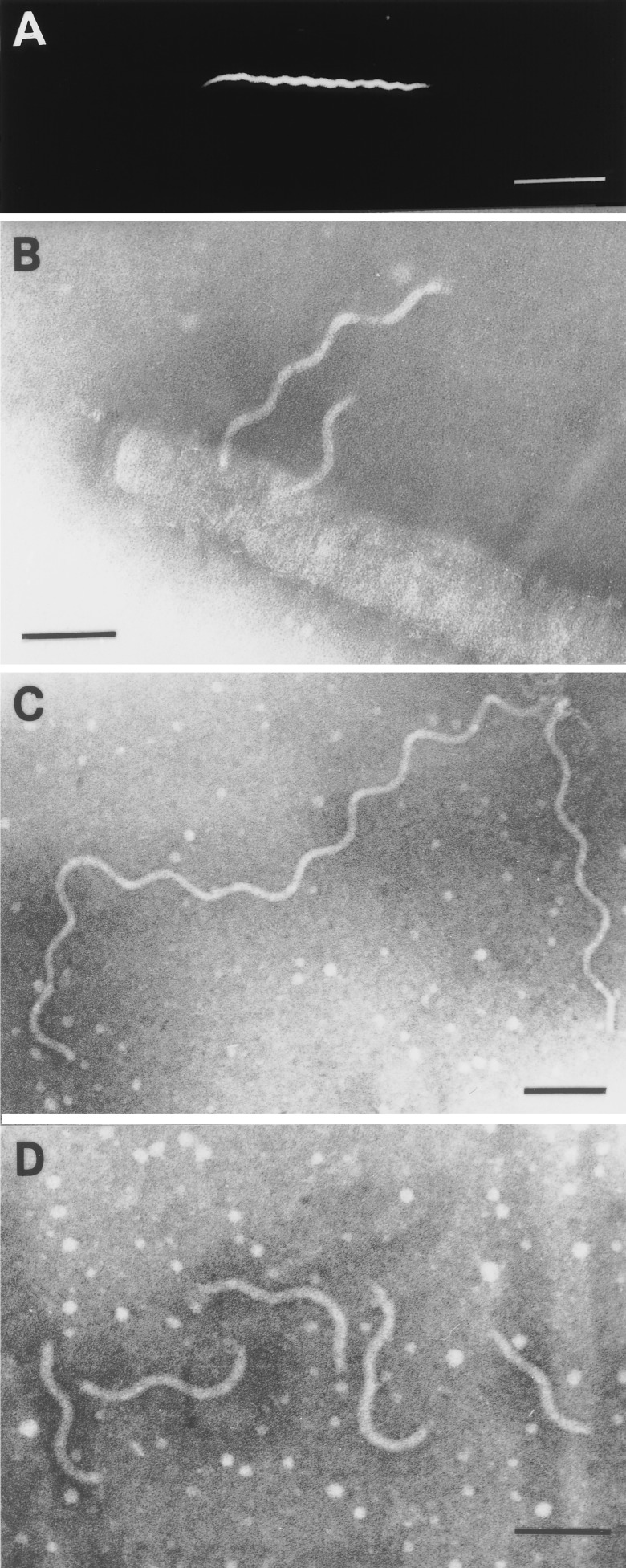 FIG. 6