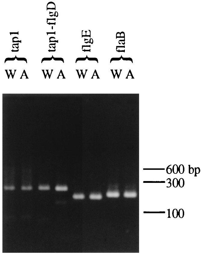 FIG. 7