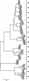 FIG. 1.