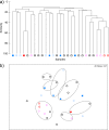 FIG 11