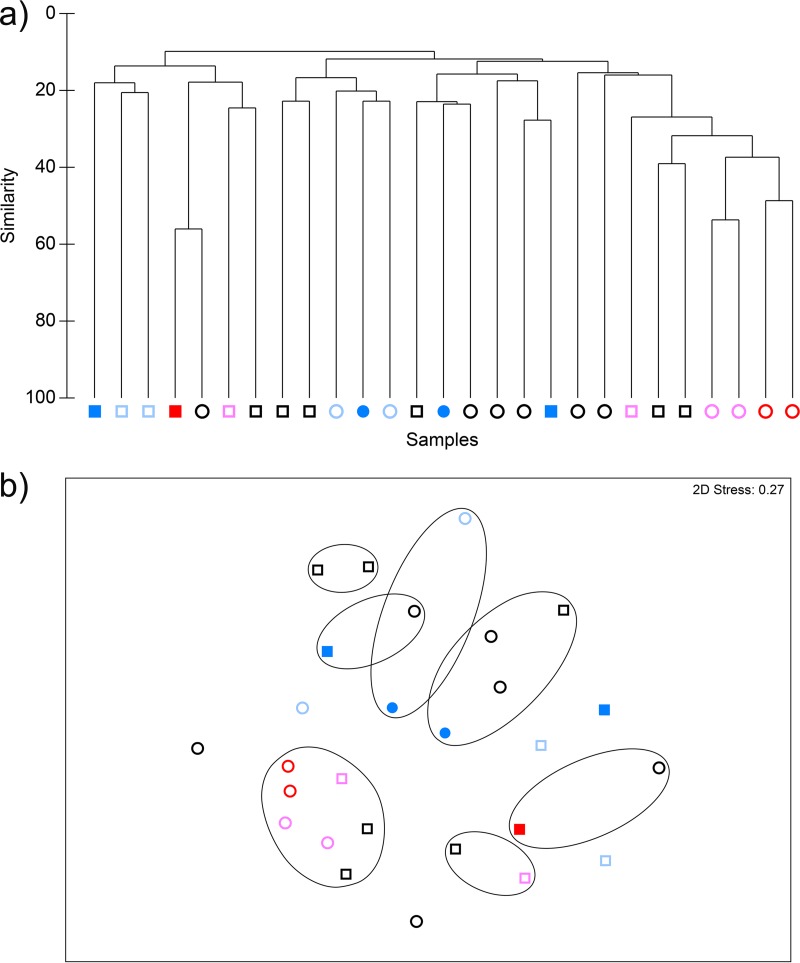 FIG 11 