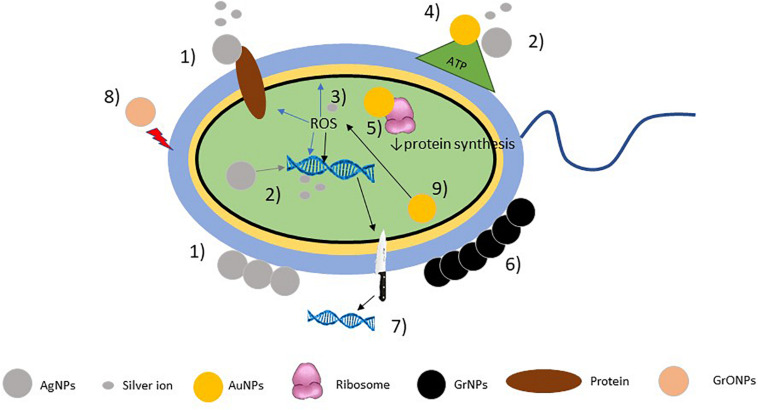 FIGURE 1