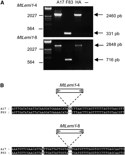 Figure 3.—