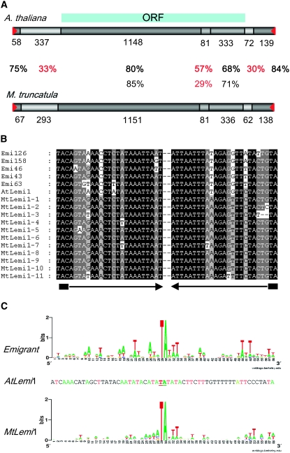 Figure 2.—