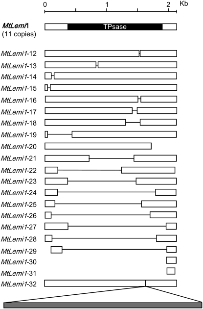 Figure 4.—