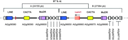 Figure 1.—