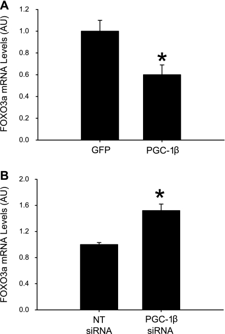 Fig. 9.