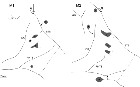 Figure 6.