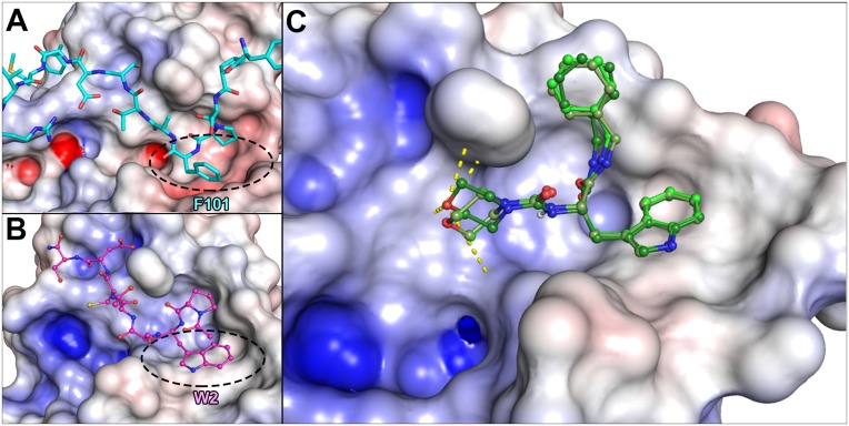 Fig 3