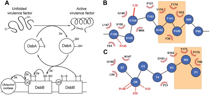 Fig 1