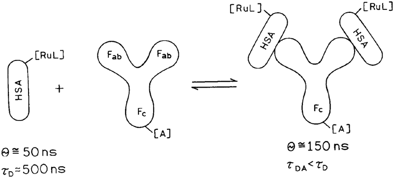 Scheme I.