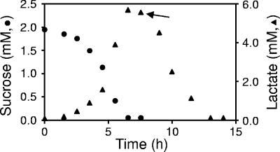 FIG. 8.