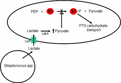 FIG. 9.