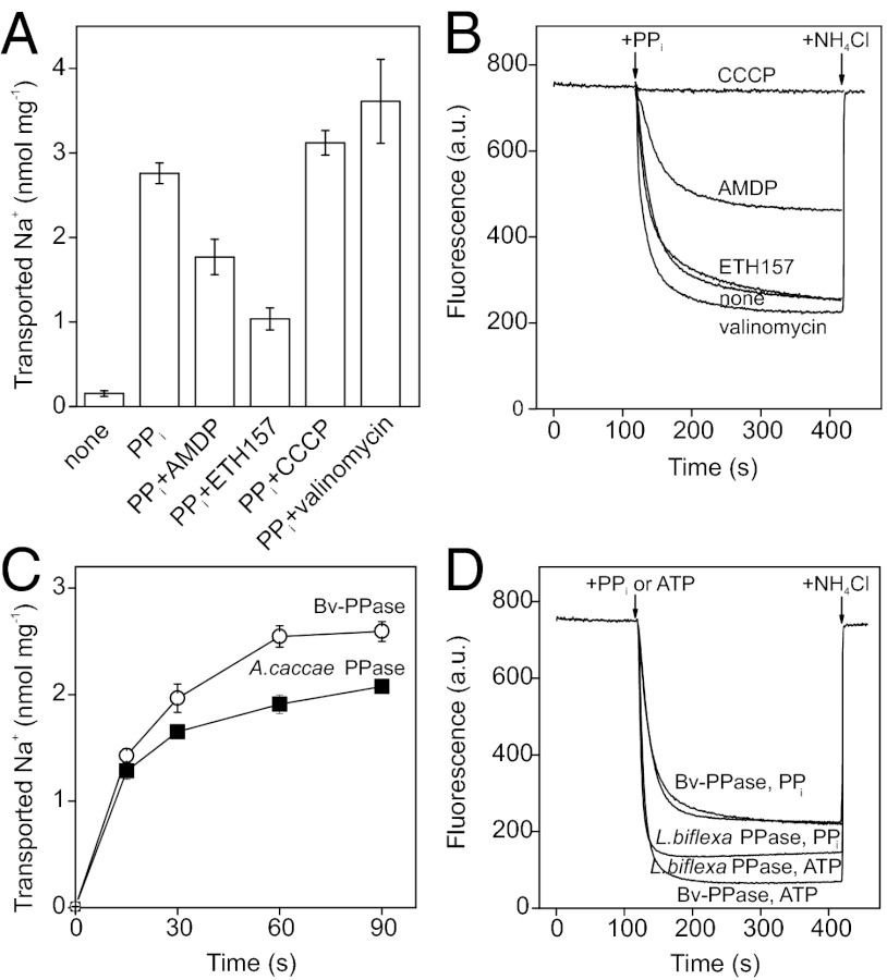 Fig. 2.