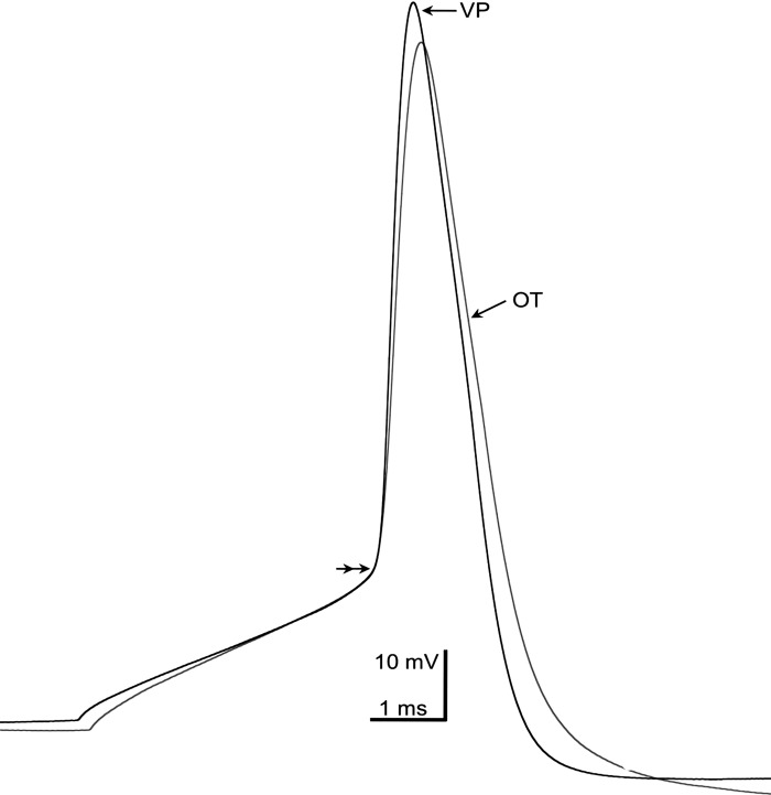 Fig. 5.