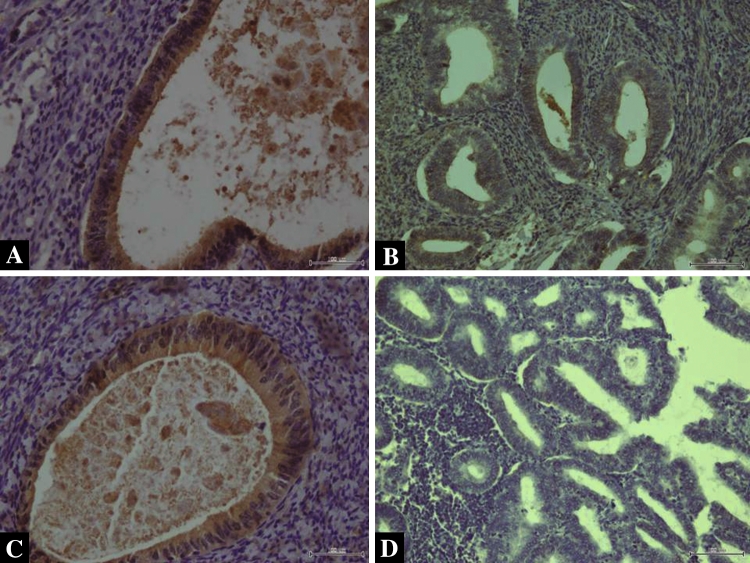 Fig. 3