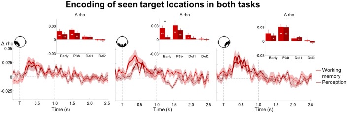 Figure 5—figure supplement 1.