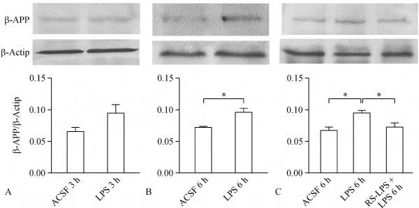 Fig.4