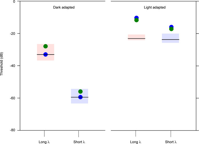 Figure 5: