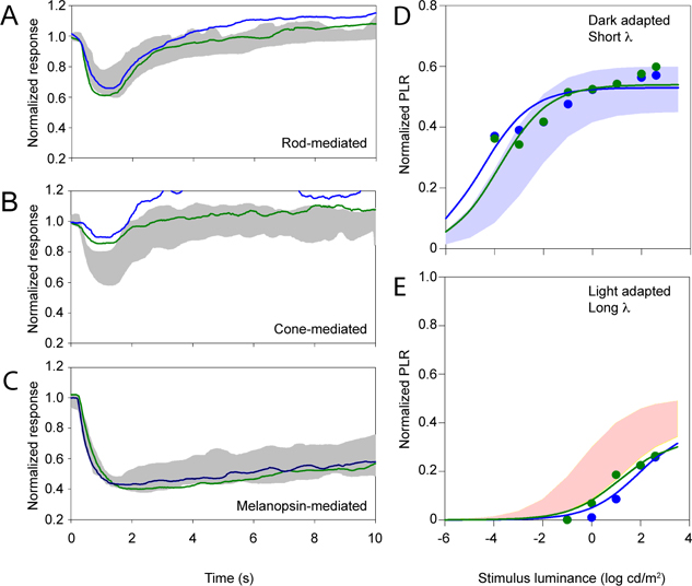 Figure 4: