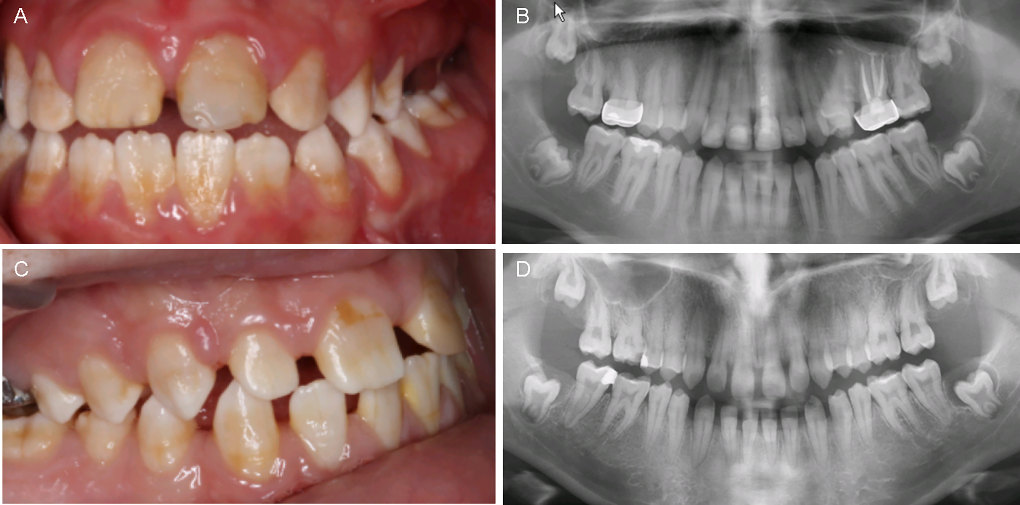 Figure 2: