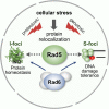 Graphical Abstract