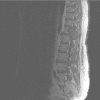 Fig. 1.