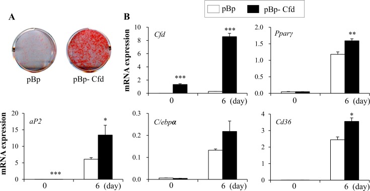 Fig 4