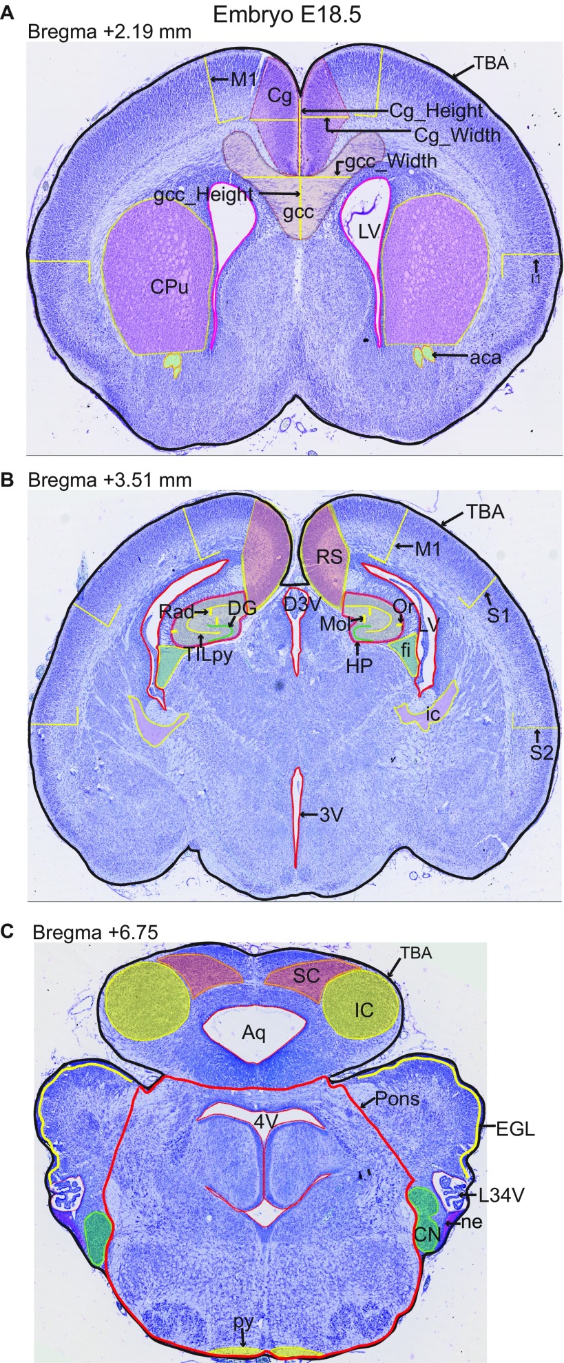 Fig. S5.