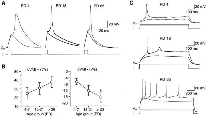 Fig. 10.