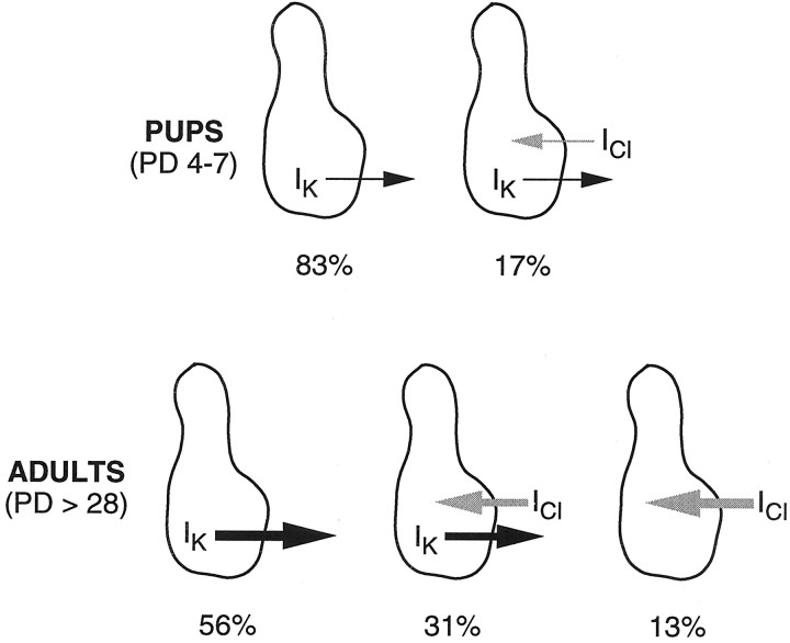 Fig. 13.